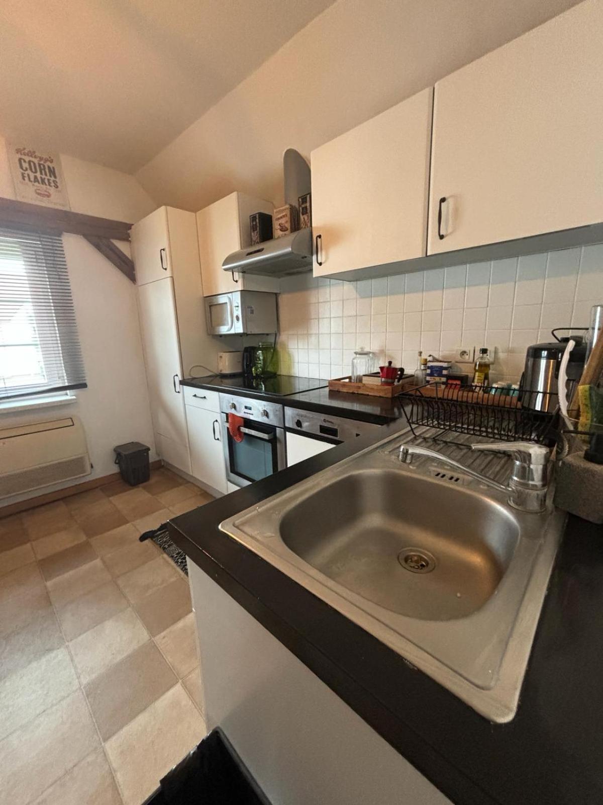 Charmant Appartement Proche Strasbourg A Eckwersheim Exterior foto
